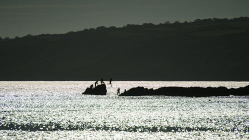 Grand Océan à la Cité de la Mer (Cherbourg-en-Cotentin)