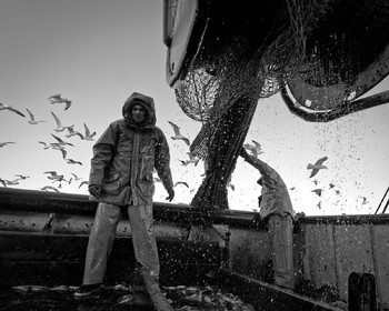 Marin pêcheur.. Deux mots qui suscitent tant de sentiments divers chez les gens de terre... Respect, admiration pour cette liberté, ce courage, mais aussi souvent peur et angoisse. Sont-ils fous ou désepérés pour risquer ainsi leurs vies quotidiennement ? Non, justes passionnés par leur métier, la mer est leur grande histoire d'amour.Le salaire de la peur des forcats de la mer, le journaliste avait raison.Ces photographies réalisées au cours de plusieurs marées à bord du Yannick, chalutier cherbourgeois, vous décrivent l'histoire d'un navire, d'un équipage, d'une famille. Vous embarquez à leurs côtés et découvrez leurs conditions de travail, la tempête, la fatigue, et, au détour d'une image, un sourire.Sophie LeroyDirectice de l'Armement Cherbourgeois