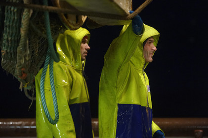 Ce reportage a été réalisé en janvier 2014 à bord du chalutier Marie-Catherine, appartenant à la SARL Armement Cherbourgeois créé en 1999 par Sophie et David LEROY. Cette marée de 7 jours fût assez mouvementée d'une part par la météo très capricieuse, mais également par la difficulté de réaliser les prises de vues. Une sélection de 20 photographies a été présentée lors de la 4ème édition du Festival photo L'Homme et la Mer au Guilvinec (Bretagne) en 2014, ainsi qu'au Musée de Tatihou 'Avis de grand frais (Manche) http:  www.armement-cherbourgeois.fr 
