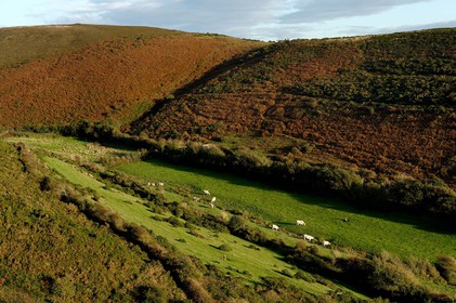 Le village de Vauville fait partie des sites classés de la Hague, Cap Cotentin. Les Pierres Pouquelées, galerie néolithique, sont un témoignage de l'Antiquité.La mare de Vauville est une réserve naturelle. Créée en 1976 c'est l'une des 135 réserves naturelles de France. Géré par le Groupe Ornithologique Normand depuis 1983, c'est un marais d'eau douce protégé de la mer par un étroit cordon dunaire. La mare de Vauville fait 62 ha, il y a plus de 150 espèces d'oiseaux ainsi que de 350 plantes et 16 espèces de batraciens.Un édifice autrefois religieux domine le village. C'est le prieuré de Vauville construit dans les landes, sur le haut d'une colline.Créé par Eric et Nicole Pellerin en 1947, l'exceptionnel jardin botanique du château de Vauville occupe plus de 40 000 m2. Abritant plus de 1000 espèces de l'hémisphère austral, le jardin entoure le château de Vauville dans une ambiance subtropicale tout à fait surprenante.