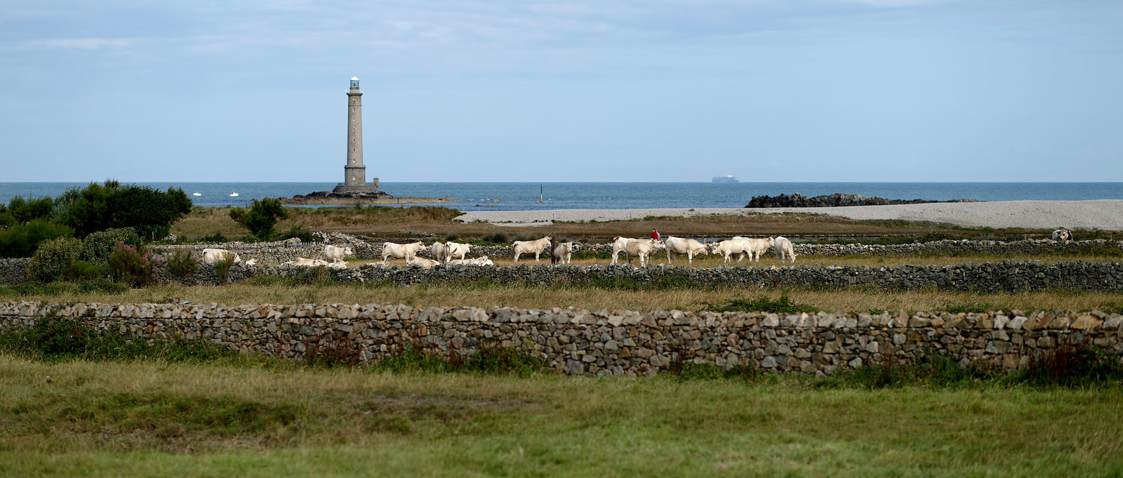 Cap de la Hague (Goury)