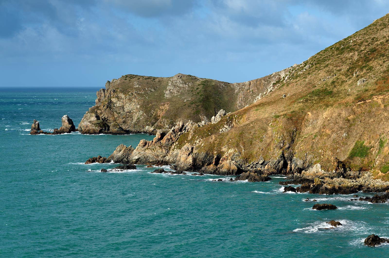Situé sur la commune de Jobourg (Manche), le Nez de Jobourg s'élève à 126 mètres de haut, classé parmi les plus hautes d'Europe.En empruntant le sentier des douaniers, le promeneur voit la nature se décliner sous toutes ses formes,Le Nez de Jobourg offre un panorama exceptionnel, du cap de la Hague jusqu'au cap de Flamanville, ainsi que sur les îles Anglo-Normandes.