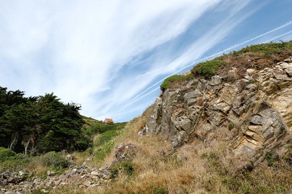 Le village de Vauville fait partie des sites classés de la Hague, Cap Cotentin. Les Pierres Pouquelées, galerie néolithique, sont un témoignage de l'Antiquité.La mare de Vauville est une réserve naturelle. Créée en 1976 c'est l'une des 135 réserves naturelles de France. Géré par le Groupe Ornithologique Normand depuis 1983, c'est un marais d'eau douce protégé de la mer par un étroit cordon dunaire. La mare de Vauville fait 62 ha, il y a plus de 150 espèces d'oiseaux ainsi que de 350 plantes et 16 espèces de batraciens.Un édifice autrefois religieux domine le village. C'est le prieuré de Vauville construit dans les landes, sur le haut d'une colline.Créé par Eric et Nicole Pellerin en 1947, l'exceptionnel jardin botanique du château de Vauville occupe plus de 40 000 m2. Abritant plus de 1000 espèces de l'hémisphère austral, le jardin entoure le château de Vauville dans une ambiance subtropicale tout à fait surprenante.