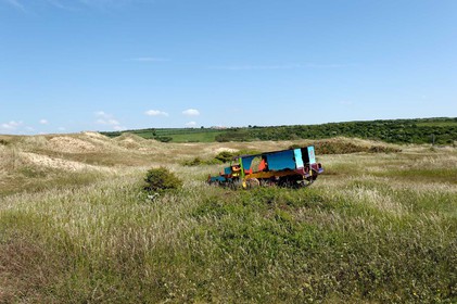 Les dunes de Biville couvrent plus de 700 hectares du littoral de la Hague (Manche), entre le cap de Flamanville et les falaises d’Herqueville. Elles constituent un massif naturel exceptionnel, tant par la qualité de ses paysages que sa richesse botanique.