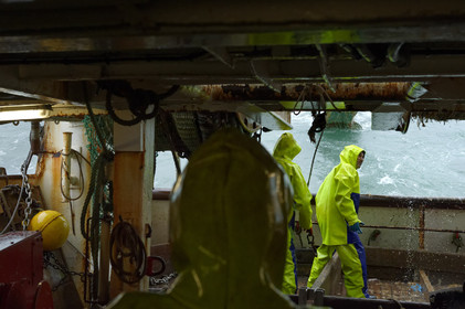Ce reportage a été réalisé en janvier 2014 à bord du chalutier Marie-Catherine, appartenant à la SARL Armement Cherbourgeois créé en 1999 par Sophie et David LEROY. Cette marée de 7 jours fût assez mouvementée d'une part par la météo très capricieuse, mais également par la difficulté de réaliser les prises de vues. Une sélection de 20 photographies a été présentée lors de la 4ème édition du Festival photo L'Homme et la Mer au Guilvinec (Bretagne) en 2014, ainsi qu'au Musée de Tatihou 'Avis de grand frais (Manche) http:  www.armement-cherbourgeois.fr 