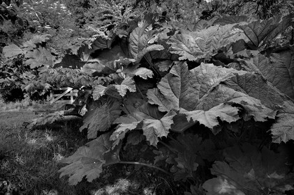 Antoine Soubigou Photographe