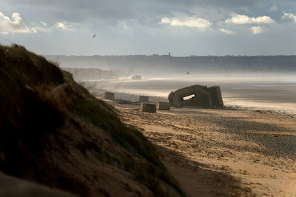 Les dunes de Biville couvrent plus de 700 hectares du littoral de la Hague (Manche), entre le cap de Flamanville et les falaises d’Herqueville. Elles constituent un massif naturel exceptionnel, tant par la qualité de ses paysages que sa richesse botanique.