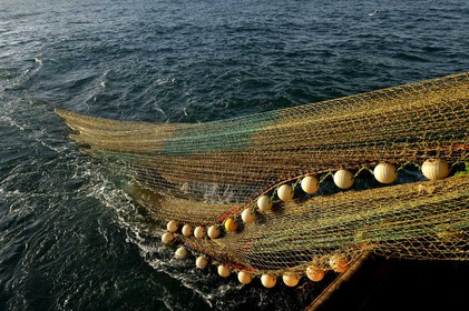 Ce reportage a été réalisé en janvier 2014 à bord du chalutier Marie-Catherine, appartenant à la SARL Armement Cherbourgeois créé en 1999 par Sophie et David LEROY. Cette marée de 7 jours fût assez mouvementée d'une part par la météo très capricieuse, mais également par la difficulté de réaliser les prises de vues. Une sélection de 20 photographies a été présentée lors de la 4ème édition du Festival photo L'Homme et la Mer au Guilvinec (Bretagne) en 2014, ainsi qu'au Musée de Tatihou 'Avis de grand frais (Manche) http:  www.armement-cherbourgeois.fr 