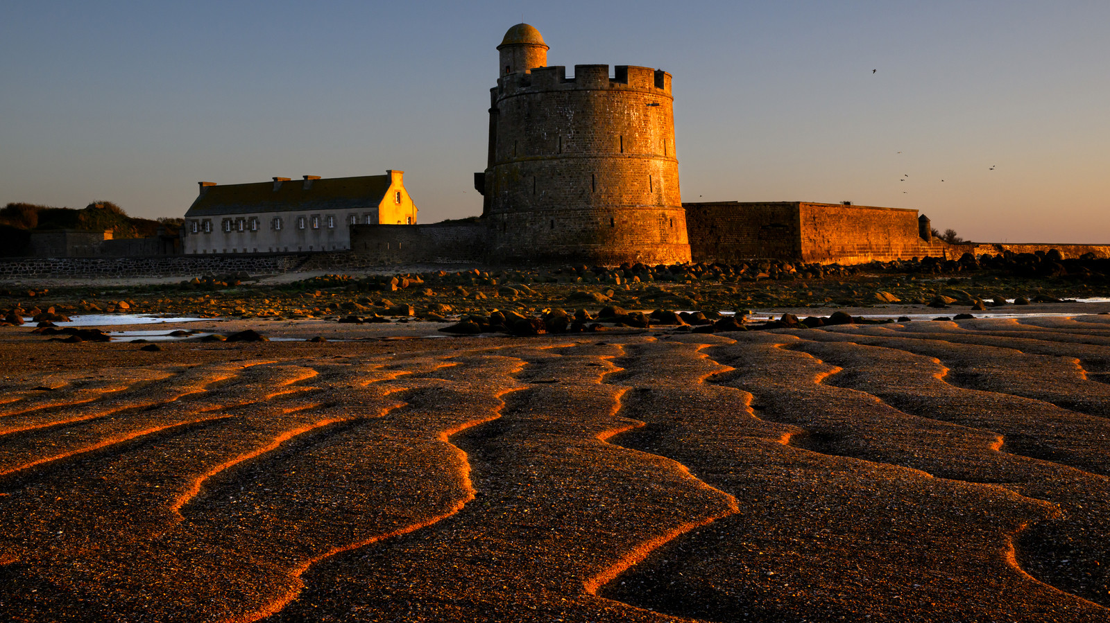 Les huîtres de Saint-Vaast-la-Hougue (Cotentin)