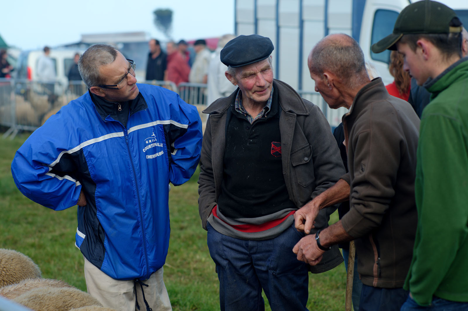 Foire aux moutons (Jobourg)
