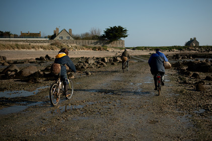 Les parcs à huîtres de Saint-Vaast-la-Hougue (Cotentin)