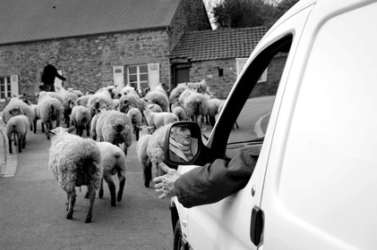 Antoine Soubigou Photographe