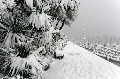 Antoine Soubigou Photographe
