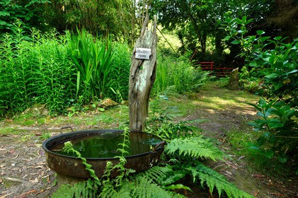 En hommage au poète, ses amis dont Gérard Fusberti, propriétaire du terrain et gardien du temple, décident de créer un jardin où chacun plantera son arbre ou laissera une de ses créations. Montand, Reggiani, Greco ou Mouloudji plantèrent chacun leur double végétal lors de la célébration du dixième anniversaire de la mort de Prévert, un eucalyptus aujourd'hui haut d'au moins 20 mètres pour Mouloudji.Se balader dans ce jardin, c'est pénétrer dans l'univers du poète. Au milieu des arbres d'ornement, des bambous peints de rouge vif, des arbres fruitiers, des camélias, des azalées, des gunneras (que Prévert adorait) et des hortensias, des œuvres d'art se révèlent ça et là, tantôt un portrait, tantôt une sculpture ou une installation. Des arbres peints prennent vie, une main rouge semblant sortir de leur entrailles, le ruisseau qui coule en cascade murmure une douce poésie, que l'on retrouve en quelques phrases inscrites sur des plaques qui surgissent au milieu de cette jungle organisée. (Saint-Germain-des-Vaux Manche)