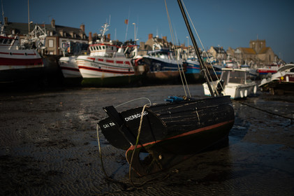 La Presqu'île du Cotentin