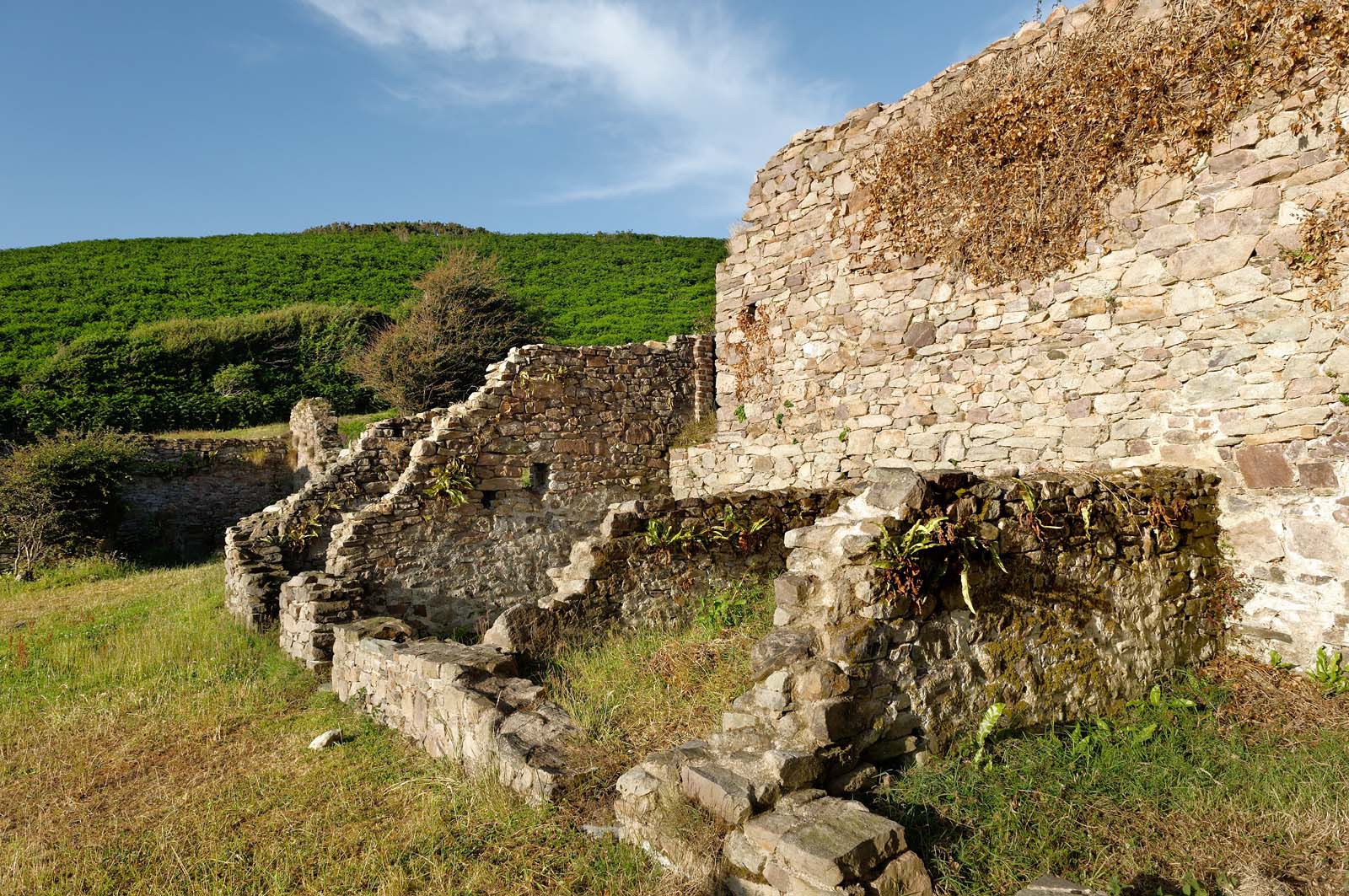 La ferme de la Cotentine est une ancienne exploitation agricole de la Manche, située à Omonville-la-Rogue.Abandonnée, et menacée de ruine, elle est achetée en 1991 par le Conservatoire du littoral, qui entreprend une opération de sauvegarde. En liaison avec la Communauté de communes de la Hague et le Syndicat mixte des espaces littoraux de la Manche (Symel), des chantiers bénévoles de réhabilitation sont organisés, qui permettent de mettre les murs en sécurité et de de commencer à mettre en valeur l'ensemble bâti.La baie de Quervière se situe entre Landemer et le port d'Omonville-la-Rogue (Manche) sur le sentier des Douaniers.
