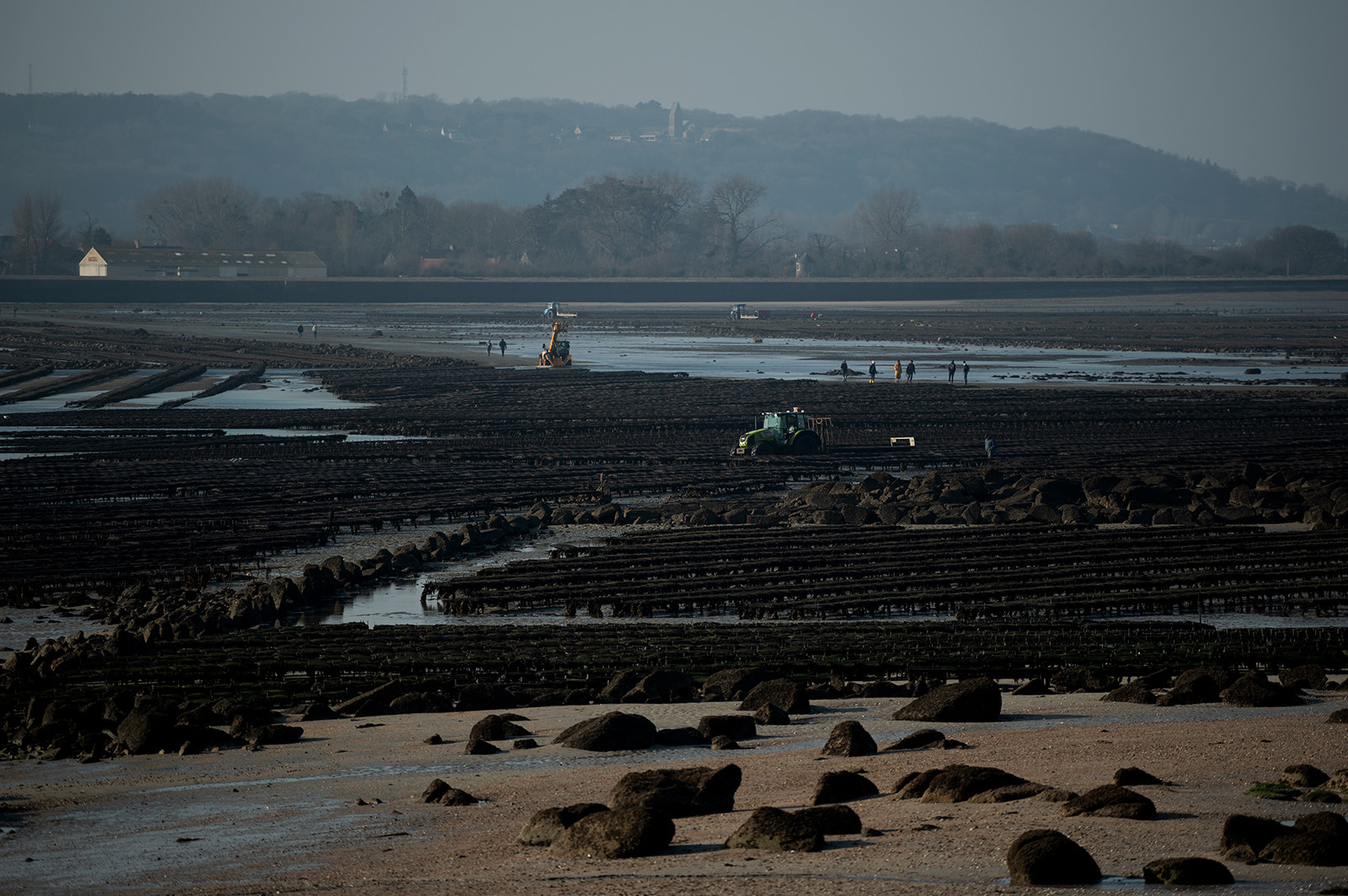 Les parcs à huîtres de Saint-Vaast-la-Hougue (Cotentin)