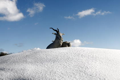 Antoine Soubigou Photographe