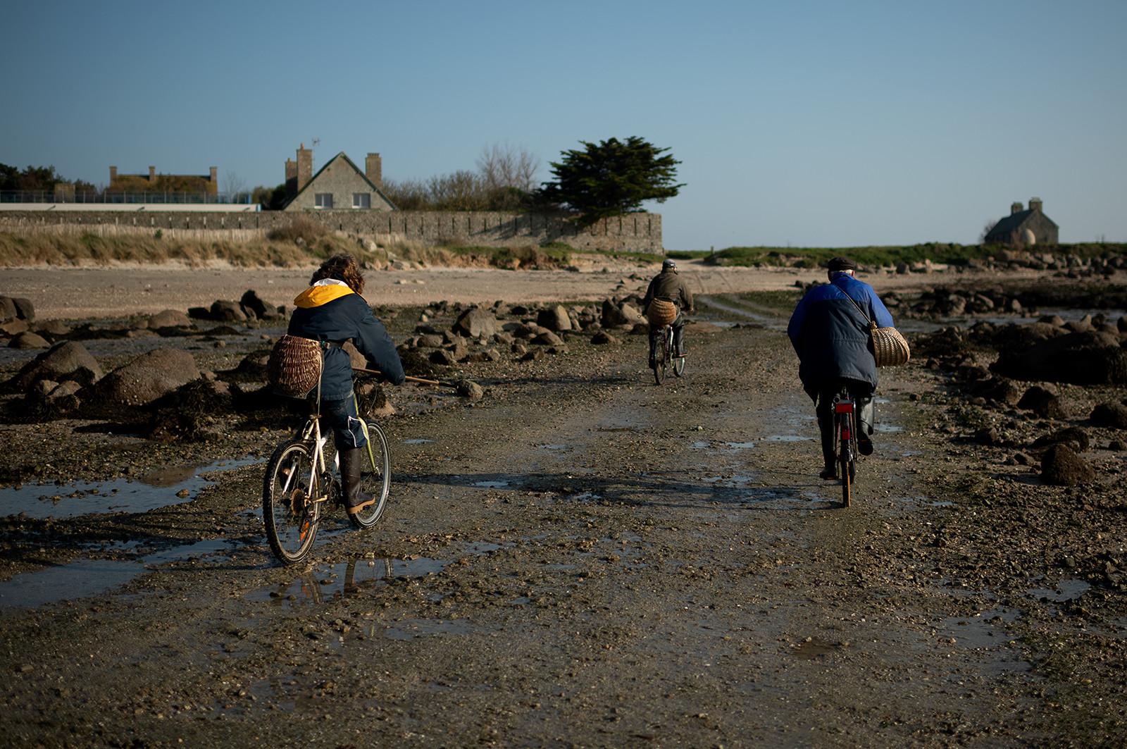 Les parcs à huîtres de Saint-Vaast-la-Hougue (Cotentin)