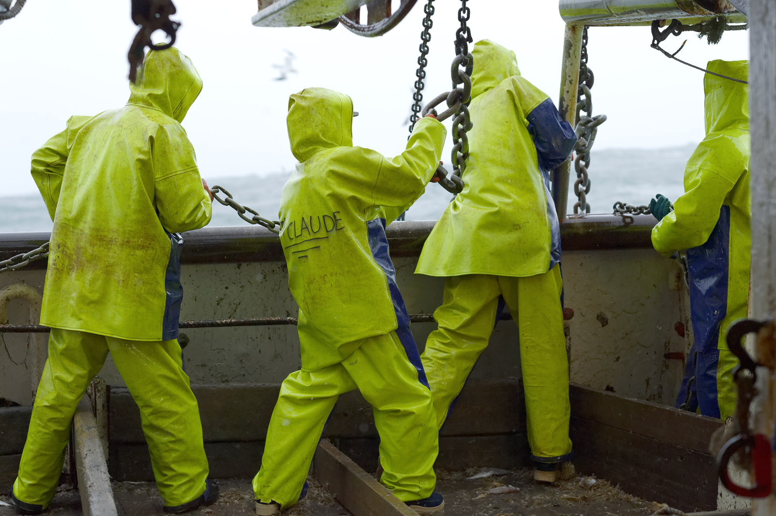 Ce reportage a été réalisé en janvier 2014 à bord du chalutier Marie-Catherine, appartenant à la SARL Armement Cherbourgeois créé en 1999 par Sophie et David LEROY. Cette marée de 7 jours fût assez mouvementée d'une part par la météo très capricieuse, mais également par la difficulté de réaliser les prises de vues. Une sélection de 20 photographies a été présentée lors de la 4ème édition du Festival photo L'Homme et la Mer au Guilvinec (Bretagne) en 2014, ainsi qu'au Musée de Tatihou 'Avis de grand frais (Manche) http:  www.armement-cherbourgeois.fr 