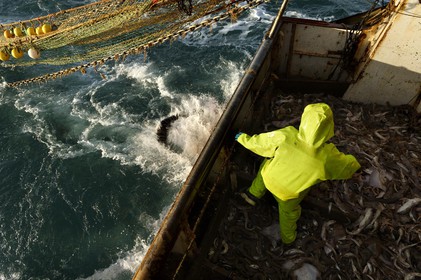 Ce reportage a été réalisé en janvier 2014 à bord du chalutier Marie-Catherine, appartenant à la SARL Armement Cherbourgeois créé en 1999 par Sophie et David LEROY. Cette marée de 7 jours fût assez mouvementée d'une part par la météo très capricieuse, mais également par la difficulté de réaliser les prises de vues. Une sélection de 20 photographies a été présentée lors de la 4ème édition du Festival photo L'Homme et la Mer au Guilvinec (Bretagne) en 2014, ainsi qu'au Musée de Tatihou 'Avis de grand frais (Manche) http:  www.armement-cherbourgeois.fr 