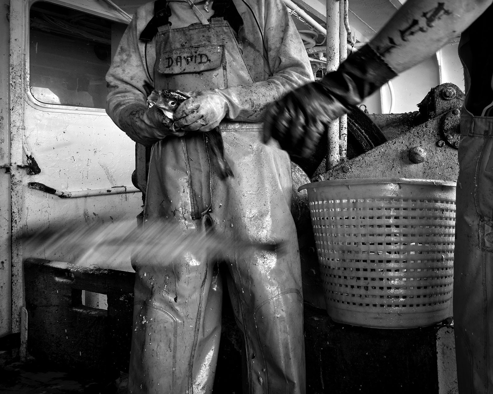 Marin pêcheur.. Deux mots qui suscitent tant de sentiments divers chez les gens de terre... Respect, admiration pour cette liberté, ce courage, mais aussi souvent peur et angoisse. Sont-ils fous ou désepérés pour risquer ainsi leurs vies quotidiennement ? Non, justes passionnés par leur métier, la mer est leur grande histoire d'amour.Le salaire de la peur des forcats de la mer, le journaliste avait raison.Ces photographies réalisées au cours de plusieurs marées à bord du Yannick, chalutier cherbourgeois, vous décrivent l'histoire d'un navire, d'un équipage, d'une famille. Vous embarquez à leurs côtés et découvrez leurs conditions de travail, la tempête, la fatigue, et, au détour d'une image, un sourire.Sophie LeroyDirectice de l'Armement Cherbourgeois