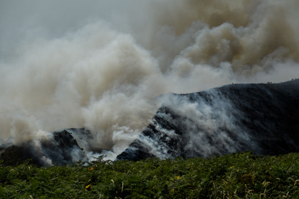 Incendie dans la Hague