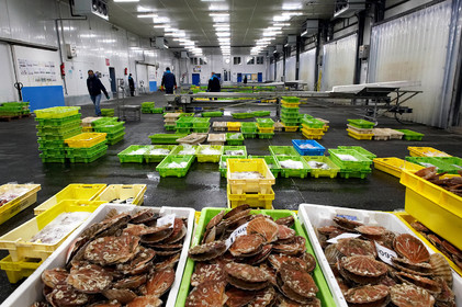 La ministre de la Mer, Annick Girardin, à Port-en-Bessin (Calvados)