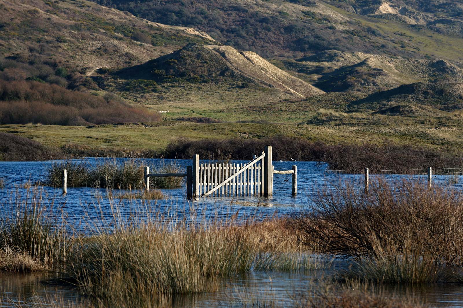 Le village de Vauville fait partie des sites classés de la Hague, Cap Cotentin. Les Pierres Pouquelées, galerie néolithique, sont un témoignage de l'Antiquité.La mare de Vauville est une réserve naturelle. Créée en 1976 c'est l'une des 135 réserves naturelles de France. Géré par le Groupe Ornithologique Normand depuis 1983, c'est un marais d'eau douce protégé de la mer par un étroit cordon dunaire. La mare de Vauville fait 62 ha, il y a plus de 150 espèces d'oiseaux ainsi que de 350 plantes et 16 espèces de batraciens.Un édifice autrefois religieux domine le village. C'est le prieuré de Vauville construit dans les landes, sur le haut d'une colline.Créé par Eric et Nicole Pellerin en 1947, l'exceptionnel jardin botanique du château de Vauville occupe plus de 40 000 m2. Abritant plus de 1000 espèces de l'hémisphère austral, le jardin entoure le château de Vauville dans une ambiance subtropicale tout à fait surprenante.