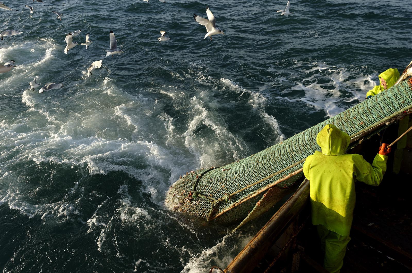 Ce reportage a été réalisé en janvier 2014 à bord du chalutier Marie-Catherine, appartenant à la SARL Armement Cherbourgeois créé en 1999 par Sophie et David LEROY. Cette marée de 7 jours fût assez mouvementée d'une part par la météo très capricieuse, mais également par la difficulté de réaliser les prises de vues. Une sélection de 20 photographies a été présentée lors de la 4ème édition du Festival photo L'Homme et la Mer au Guilvinec (Bretagne) en 2014, ainsi qu'au Musée de Tatihou 'Avis de grand frais (Manche) http:  www.armement-cherbourgeois.fr 