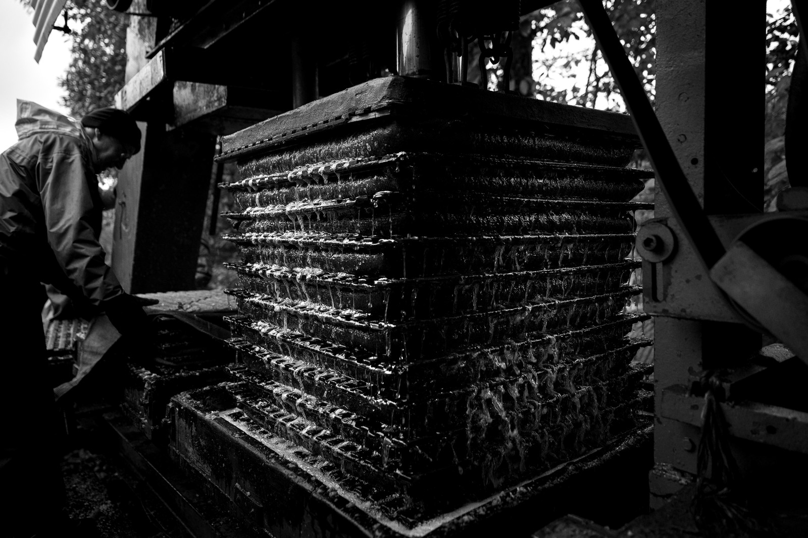 Les vergers du Clos Moulin