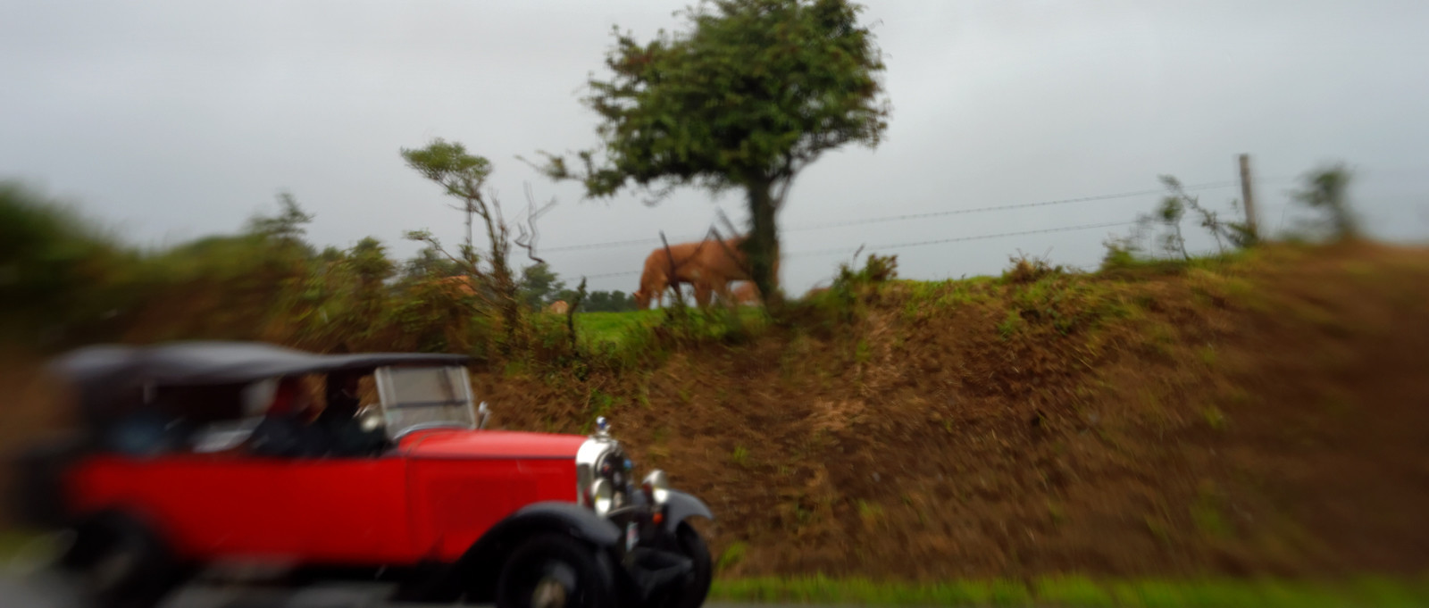 Une journée pluvieuse dans la Hague