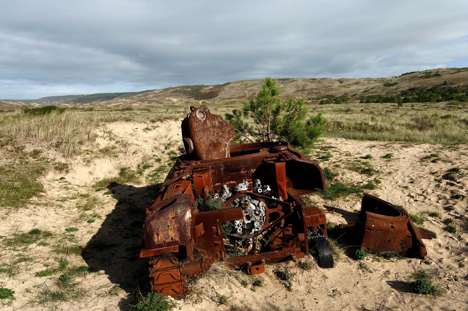 Les dunes de Biville couvrent plus de 700 hectares du littoral de la Hague (Manche), entre le cap de Flamanville et les falaises d’Herqueville. Elles constituent un massif naturel exceptionnel, tant par la qualité de ses paysages que sa richesse botanique.