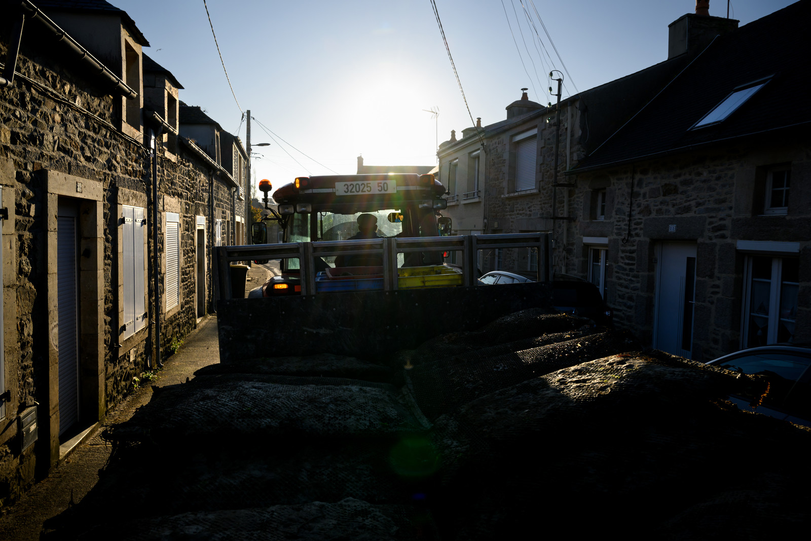 Les huîtres de Saint-Vaast-la-Hougue (Cotentin)
