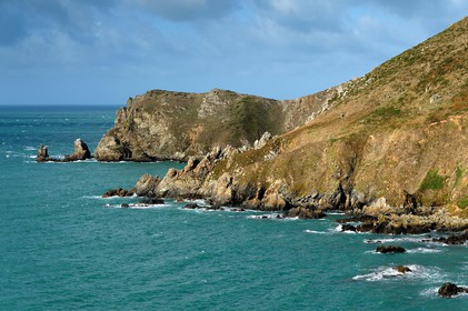 Situé sur la commune de Jobourg (Manche), le Nez de Jobourg s'élève à 126 mètres de haut, classé parmi les plus hautes d'Europe.En empruntant le sentier des douaniers, le promeneur voit la nature se décliner sous toutes ses formes,Le Nez de Jobourg offre un panorama exceptionnel, du cap de la Hague jusqu'au cap de Flamanville, ainsi que sur les îles Anglo-Normandes.