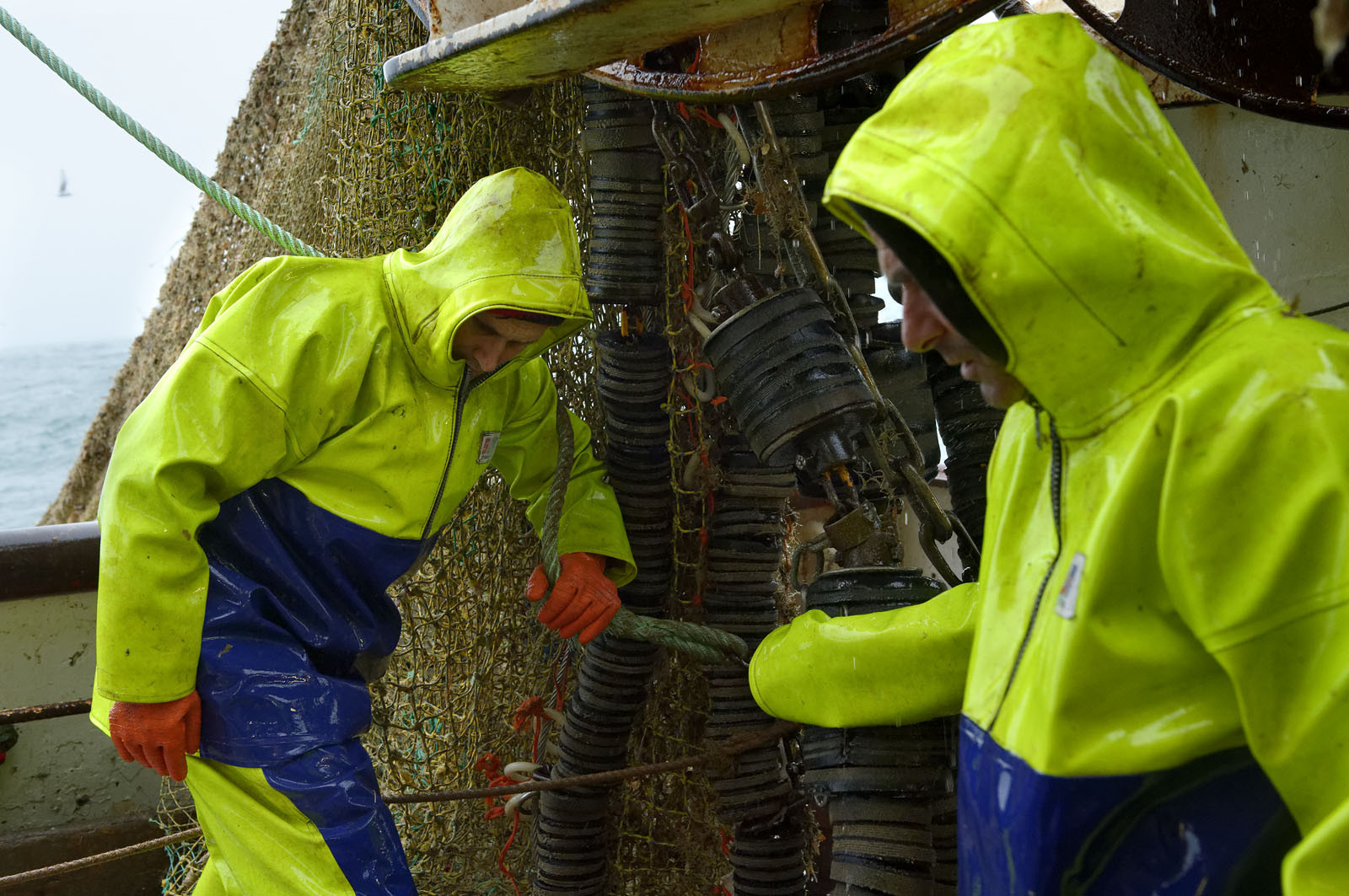 Ce reportage a été réalisé en janvier 2014 à bord du chalutier Marie-Catherine, appartenant à la SARL Armement Cherbourgeois créé en 1999 par Sophie et David LEROY. Cette marée de 7 jours fût assez mouvementée d'une part par la météo très capricieuse, mais également par la difficulté de réaliser les prises de vues. Une sélection de 20 photographies a été présentée lors de la 4ème édition du Festival photo L'Homme et la Mer au Guilvinec (Bretagne) en 2014, ainsi qu'au Musée de Tatihou 'Avis de grand frais (Manche) http:  www.armement-cherbourgeois.fr 