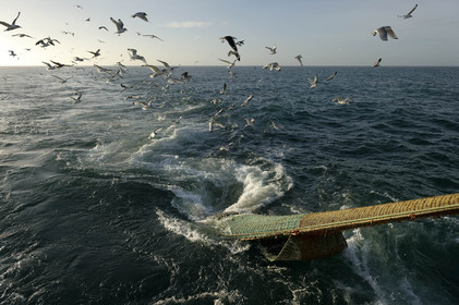 Ce reportage a été réalisé en janvier 2014 à bord du chalutier Marie-Catherine, appartenant à la SARL Armement Cherbourgeois créé en 1999 par Sophie et David LEROY. Cette marée de 7 jours fût assez mouvementée d'une part par la météo très capricieuse, mais également par la difficulté de réaliser les prises de vues. Une sélection de 20 photographies a été présentée lors de la 4ème édition du Festival photo L'Homme et la Mer au Guilvinec (Bretagne) en 2014, ainsi qu'au Musée de Tatihou 'Avis de grand frais (Manche) http:  www.armement-cherbourgeois.fr 