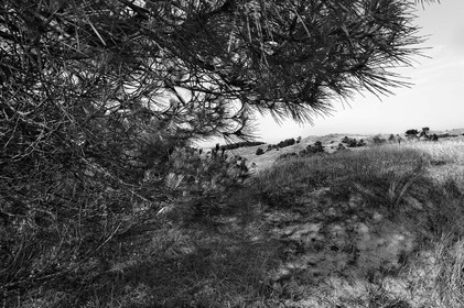 Antoine Soubigou Photographe